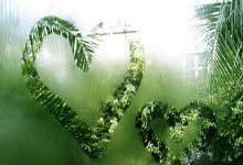 民宿合作经营模式,民宿合作经营怎么分红