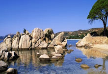 民宿合作经营模式,民宿合作经营怎么分红